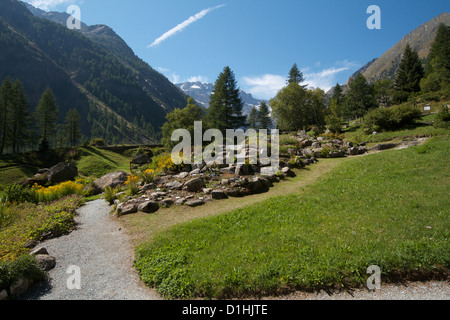 Giardino botanico - Valnontey Valle d'Aosta Foto Stock