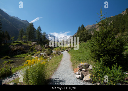 Giardino botanico - Valnontey Valle d'Aosta Foto Stock