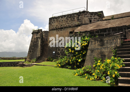 Vista interna di colline cumulus nuvole, erba verde fiori gialli piedi Fort Frederick pareti, St George's, Grenada, West Indies Foto Stock