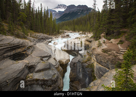 Mistaya Canyon lungo la Icefields Parkway a Banff National Park in Alberta Canada nelle Montagne Rocciose Canadesi Foto Stock