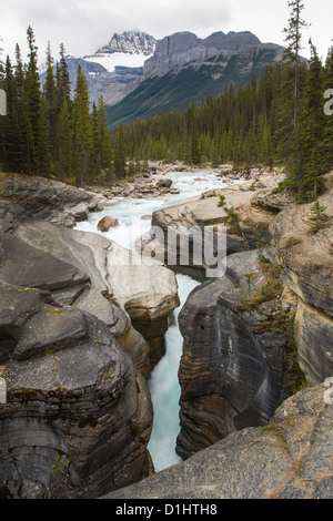 Mistaya Canyon lungo la Icefields Parkway a Banff National Park in Alberta Canada nelle Montagne Rocciose Canadesi Foto Stock