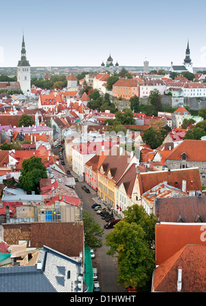 Vista sui tetti della città vecchia di Tallinn, la capitale dell'Estonia. Foto Stock