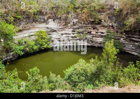 Cenote Sagrado (Pozzo Sacro) a Chichen Itza, la penisola dello Yucatan, Quintana Roo, Messico Foto Stock