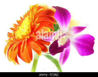 Piccolo bouquet di orchidee e Gerbera Foto Stock