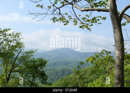 Vista sulla montagna dal sentiero di alloro cade. Parco Nazionale di Great Smoky Mountains. Gatlinburg, Tennessee, Stati Uniti d'America. Foto Stock