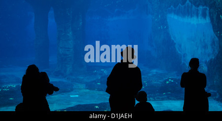 Le persone in piedi di fronte ad un acquario vuoto Foto Stock