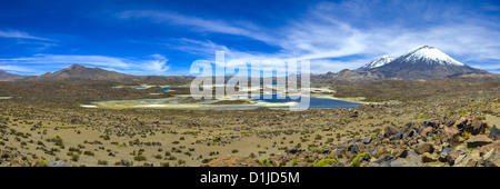 Cotacotani Lagoos in Lauca National Park, Cile Foto Stock