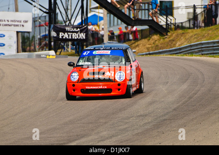 Una Mini Cooper compete nel CTCC Canadian Touring Car Championship al 2011 Mobile-1 Grand Prix Mosport Foto Stock