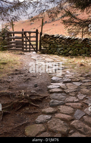 Sentiero acciottolato e porta di baci in legno su muro di pietra a secco, Little Langdale, Lake District, Cumbria, Inghilterra, REGNO UNITO Foto Stock