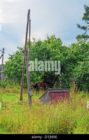 Il vecchio pozzo nel villaggio. Foto Stock