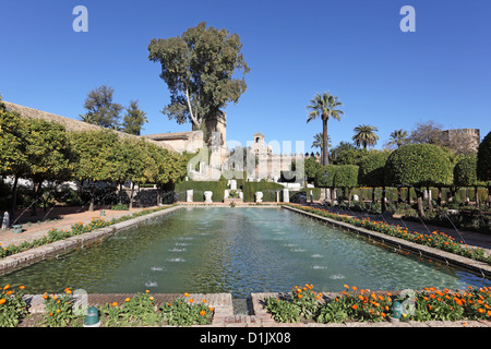 Giardini in Alcazar dei monarchi cristiani a Cordoba, Andalusia Spagna Foto Stock