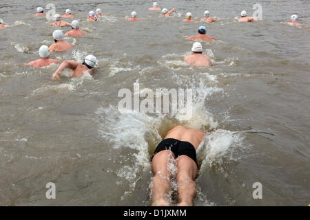 Dicembre 26, 2012 Praga Repubblica Ceca, Polar nuotatore saltato nel fiume Moldava Foto Stock