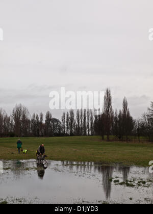 Croydon, Surrey, Regno Unito. Il 26 dicembre 2012. Nonostante il bagnato Boxing Day condizioni, le persone erano fuori che esercitano i loro cani in Lloyd Park, Croydon. Il 26 dicembre 2012. Foto Stock