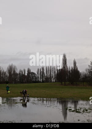 Croydon, Surrey, Regno Unito. Il 26 dicembre 2012. Nonostante il bagnato Boxing Day condizioni, le persone erano fuori che esercitano i loro cani in Lloyd Park, Croydon. Il 26 dicembre 2012. Foto Stock