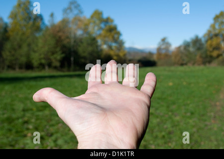 Uomo di palm esteso verso un bosco Foto Stock