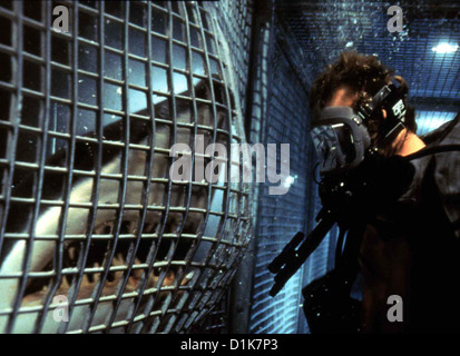 Mare blu profondo mare blu profondo Thomas Jane.Caption locale *** 1999 Warner Foto Stock