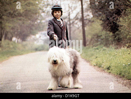 Digby, Der Groesste Hund der Welt Digby - più grande cane nel mondo Richard Beaumont Billy bianco (Richard Beaumont) liebt seinen Foto Stock