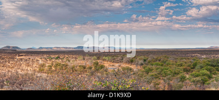 Damaraland paesaggio, un panorama della pianura Hankow vicino Vingerklip (Rock dito) nel nord-ovest della Namibia, Africa. Immagine panoramica. Foto Stock