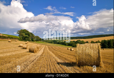 Nuvole di raccogliere oltre I CAMPI DI ORZO IN MORAY Scozia Scotland Foto Stock