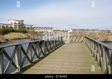 Passerella in legno presso la Riserva delle paludi della Baia di Cardiff, Galles UK, area della biodiversità Foto Stock