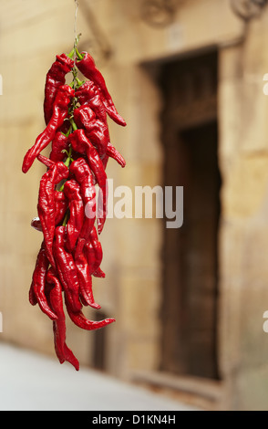 Stringa di essiccato peperoncino rosso appeso nel villaggio di Laguardia. Rioja Alavesa strada del vino. Alava. Paese basco. Spagna Foto Stock