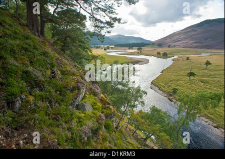 Vista estiva di Glen e valle nella parte superiore Deeside area di Grampian Mountains, NE LA SCOZIA Foto Stock