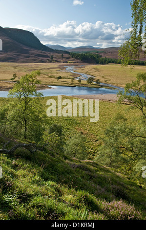 Vista estiva di Glen e valle nella parte superiore Deeside area di Grampian Mountains, NE LA SCOZIA Foto Stock