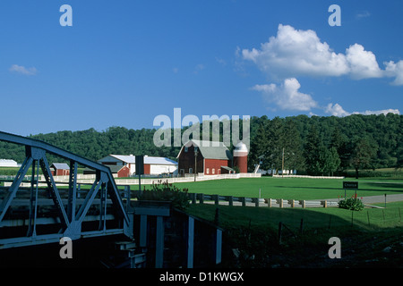 Fattoria di pacifica nel sud del Minnesota, U.S.A. Vicino al fiume di root; tarda estate. Foto Stock