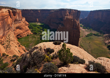 Canyon del Muerto da Antelope House si affacciano, Canyon De Chelly National Monument, Arizona, Stati Uniti d'America Foto Stock