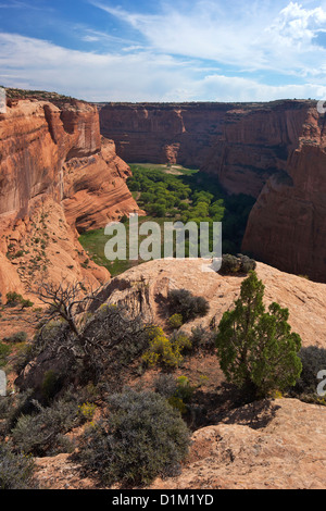 Canyon del Muerto da Antelope House si affacciano, Canyon De Chelly National Monument, Arizona, Stati Uniti d'America Foto Stock