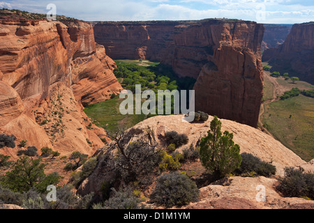 Dividere tra Canyon del Muerto e Black Rock Canyon da Antelope House si affacciano, Canyon De Chelly National Monument, Arizona Foto Stock