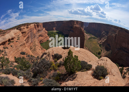 Dividere tra Canyon del Muerto e Black Rock Canyon da Antelope House si affacciano, Canyon De Chelly National Monument, Arizona Foto Stock