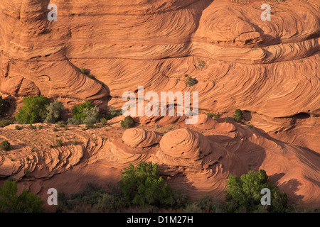 Arenaria scolpita dall'erosione, Casa Bianca si affacciano, Canyon De Chelly National Monument, Arizona, Stati Uniti d'America Foto Stock