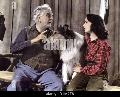 Tenuto Auf Vier Pfoten coraggio Lassie Frank Morgan, Lassie, Elizabeth Taylor MacBain (Frank Morgan) verspricht Kathie Foto Stock