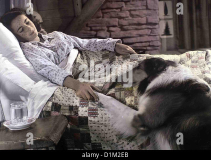 Tenuto Auf Vier Pfoten il coraggio di Lassie Elizabeth Taylor, Lassie.Caption locale *** 1946 -- Foto Stock