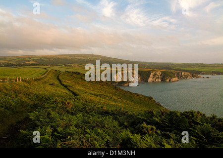 Il Nord Pembrokeshire Coast visto dalla costa percorso in corrispondenza della testa di dinas tra Newport e Fishguard, Wales, Regno Unito Foto Stock