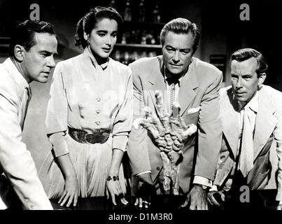 Der Schrecken Vom Amazonas creatura dalla Laguna Nera Richard Carlson, Julie Adams Richard Denning, Whit Bissel Eine Gruppe Foto Stock