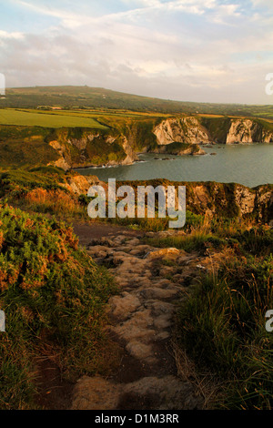 Il Nord Pembrokeshire Coast visto dalla costa percorso in corrispondenza della testa di dinas tra Newport e Fishguard, Wales, Regno Unito Foto Stock