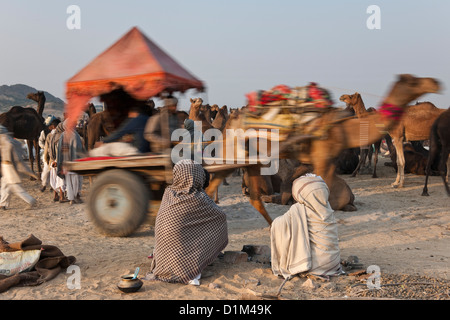 I commercianti del cammello sedersi sul terreno a guardare i loro cammelli a parlare del cammello annuale fiera di Pushkar Rajasthan in India Foto Stock