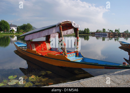 Shikara o casa barche nel lago Nageen, Srinagar, Jammu e Kashmir India Foto Stock