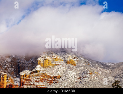 Bella montagna Wilson con neve fresca, a nord di Sedona, in Arizona. Stati Uniti d'America Coconino County & National Forest. Foto Stock