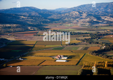 Fotografia aerea della Valle di Napa California vigneti Foto Stock