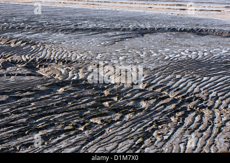 Ondulazioni di fango presso la baia di sabbia Foto Stock