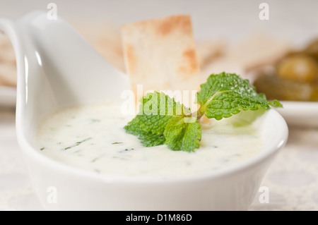 Greco fresco Tzatziki yogurt dip e di pane pita e pickels Foto Stock