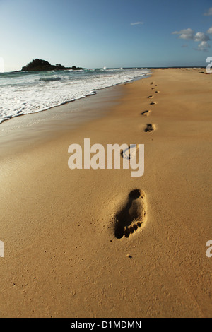 Una serie di impronte umane nella sabbia bagnata su una spiaggia deserta al mattino presto, con le onde in background. Foto Stock