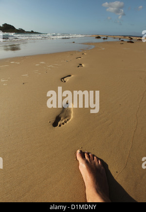 Una serie di impronte umane nella sabbia bagnata su una spiaggia deserta al mattino presto con il fotografo il piede in foto Foto Stock