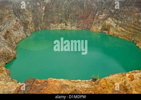 INDONESIA, Flores, Kelimutu, laghi colorati (Nuamuri Koo Fai il lago di fronte e il Lago di Ata Polo posteriore) sul vulcano attivo Foto Stock