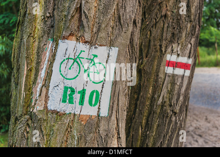 Informazioni segno per il polacco R 10 percorso ciclabile lungo il Mar Baltico, Polonia, Europa Foto Stock