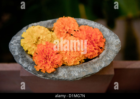 Una ciotola di giallo e arancione Le calendule in un piatto di pietra in Rajasthan in India Foto Stock