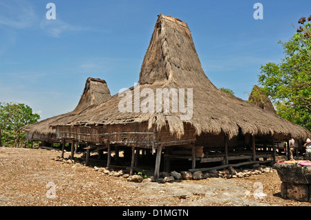 INDONESIA, Sumba, Prailiang, hilltop village con tradizionali di alta appuntita tetti in paglia, tipica dell'isola Foto Stock